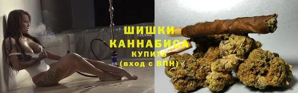тгк Белокуриха