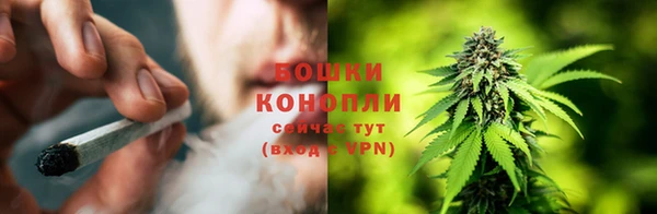 тгк Белокуриха