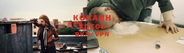 тгк Белокуриха