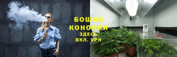 тгк Белокуриха