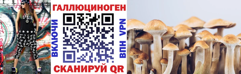 Галлюциногенные грибы ЛСД  Бийск 